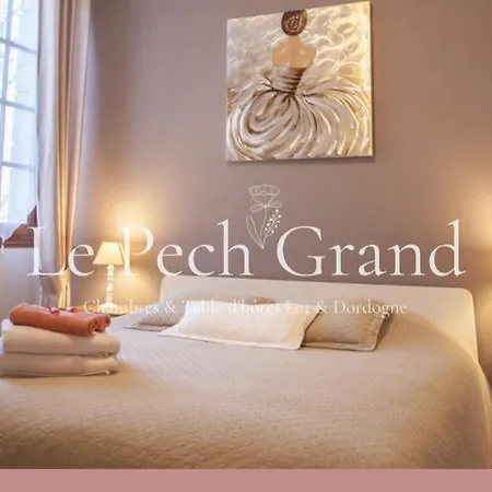 & Tables D'hotes Le Pech Grand * Saint-Sozy
